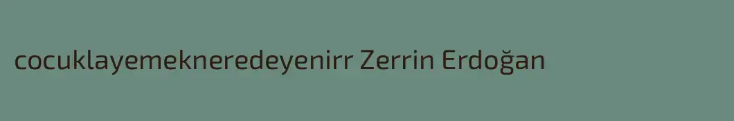 cocuklayemekneredeyenirr Zerrin Erdoğan